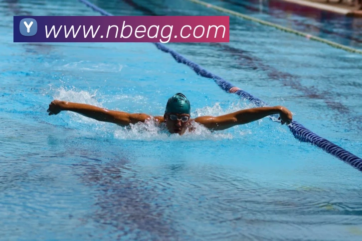 ag官网发展历程